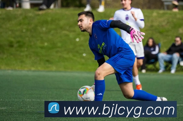 百家乐网站发展历程